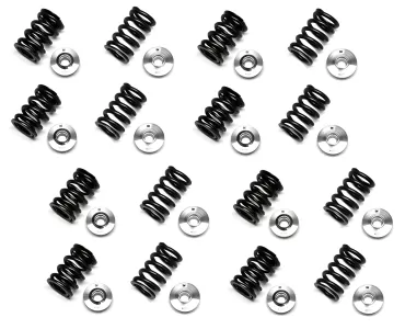 General Representation 2009 Nissan Titan Brian Crower High Performance Valve Springs and Retainers